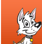 Animal Shelter dog