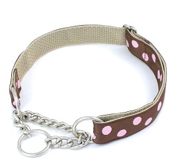 Choosing the right <b>dog</b> collar