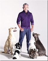 <b>Cesar Millan</b><i> The<b> Dog Whisperer</b></i>