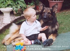 Bring Joy in Your Dogs Life with Some of These Dog Gifts