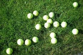 Dog Balls: A Way to Keep your Dog Entertained