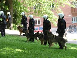 <b>Dogs and Law Enforcement</b>