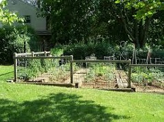 Dog fencing options for gardens
