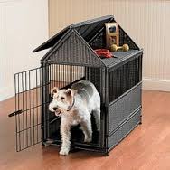 Always Transport Your Dog Safely Using Dog Crates!