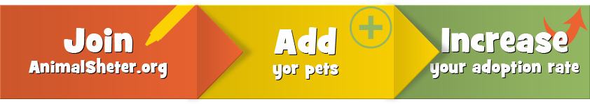 Sign Up