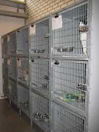 <b>Animal Shelter</b>s