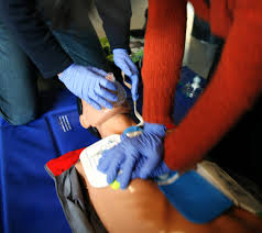 Canine CPR