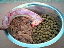 What Defines the Ideal Dog Products?