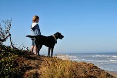 <b>Life with your<i> new dog</i></b>