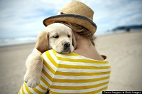 <b>Giving Thanks to your pets</b>