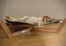 <b>Dogs in your bedroom</b>