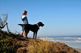 <b>Dogs and Humans</b>