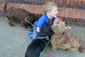 <b>Games for<i> dogs</i> and<b> kids</b></b>
