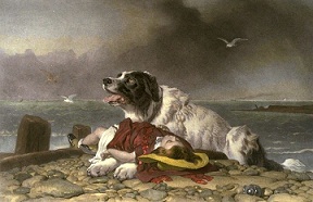 <b>Dogs in Islam</b>