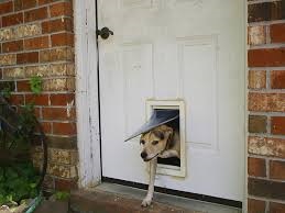 <b>Using a<i> doggy door</i></b>
