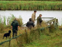 <b>Gun Dogs</b>