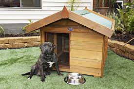 <b>Inspecting kennels</b>