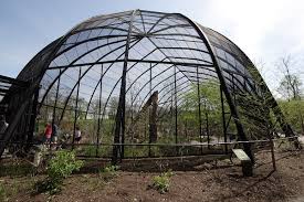 <b>Large<b> bird</b><i> cage</i></b>s