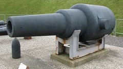 <b>Using a<i> muzzle</i></b>