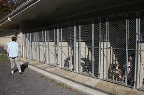 <b>Pet care partners</b>