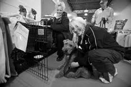 Pet Emergency response