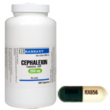 Cephalexin